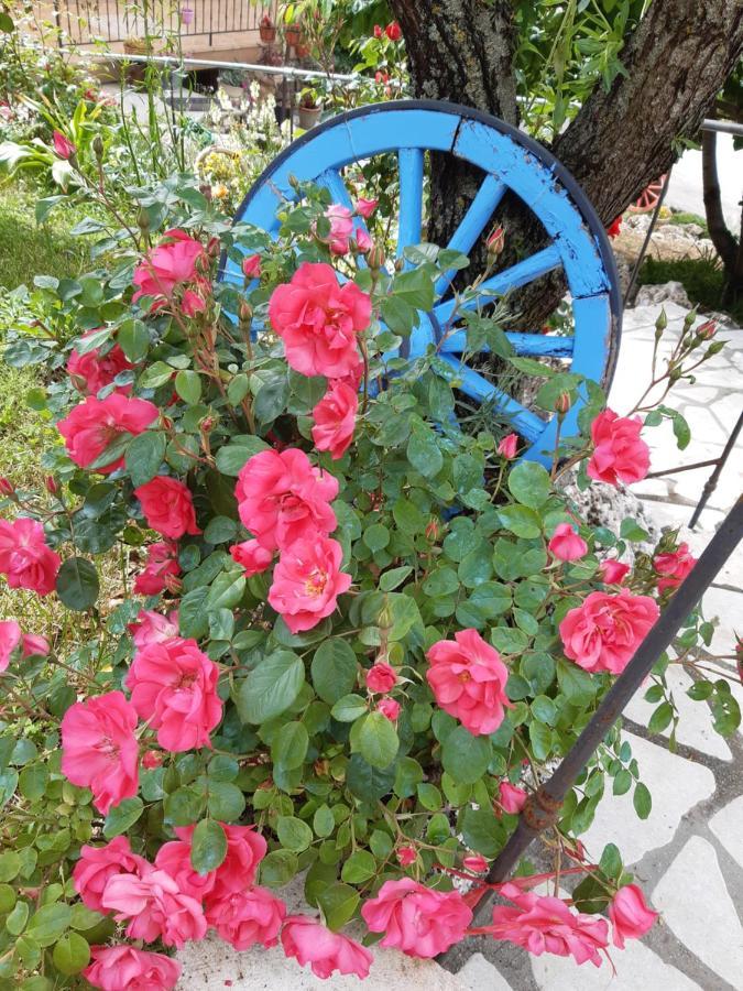 Il Girasole Bed & Breakfast Castelvecchio Calvisio Dış mekan fotoğraf