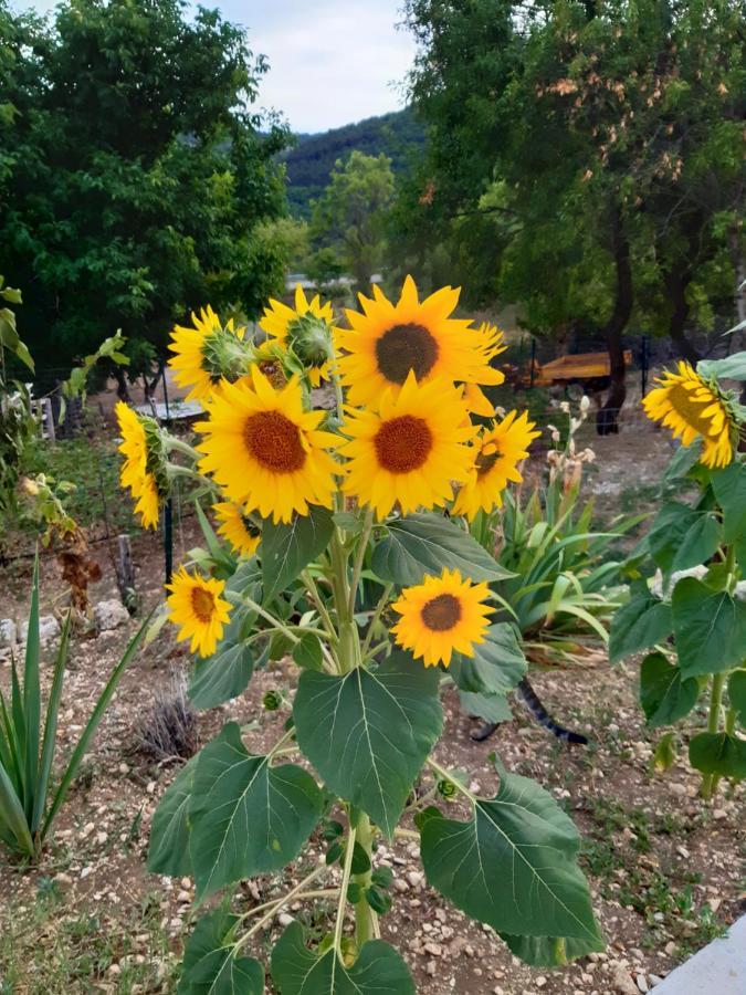 Il Girasole Bed & Breakfast Castelvecchio Calvisio Dış mekan fotoğraf