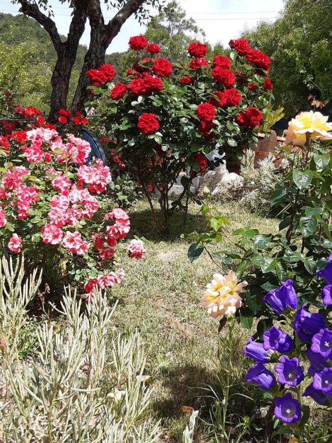 Il Girasole Bed & Breakfast Castelvecchio Calvisio Dış mekan fotoğraf