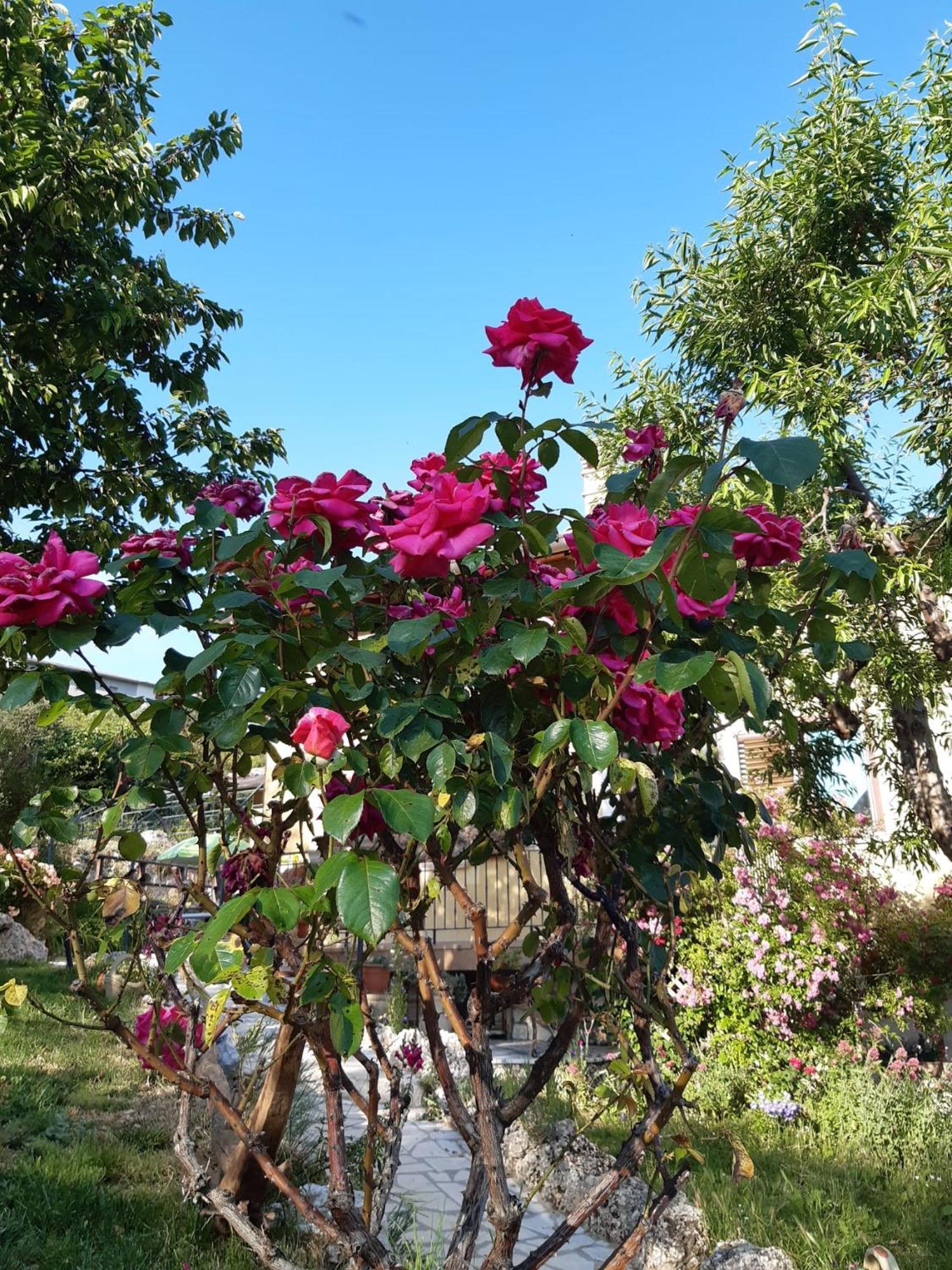 Il Girasole Bed & Breakfast Castelvecchio Calvisio Dış mekan fotoğraf