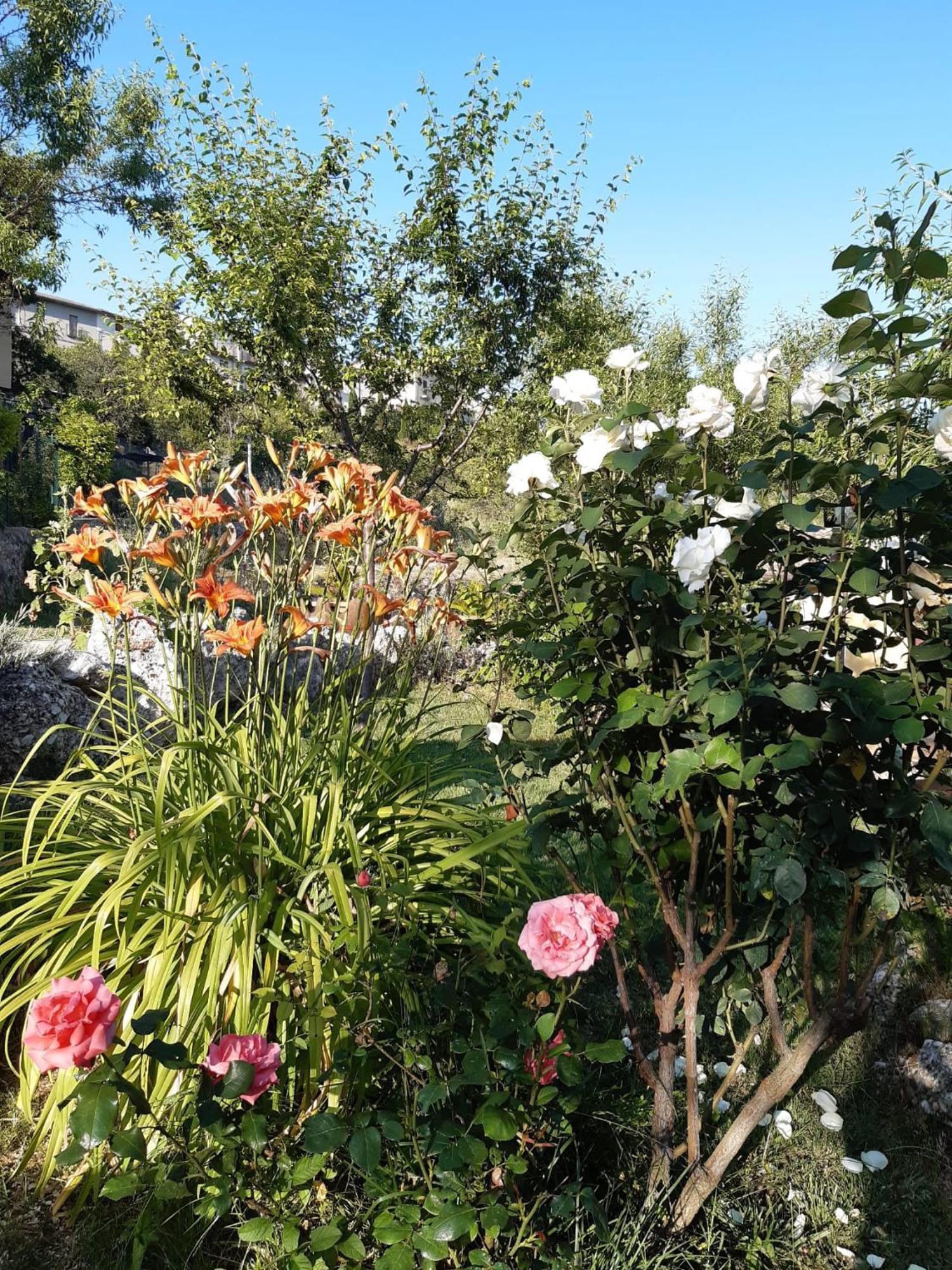 Il Girasole Bed & Breakfast Castelvecchio Calvisio Dış mekan fotoğraf