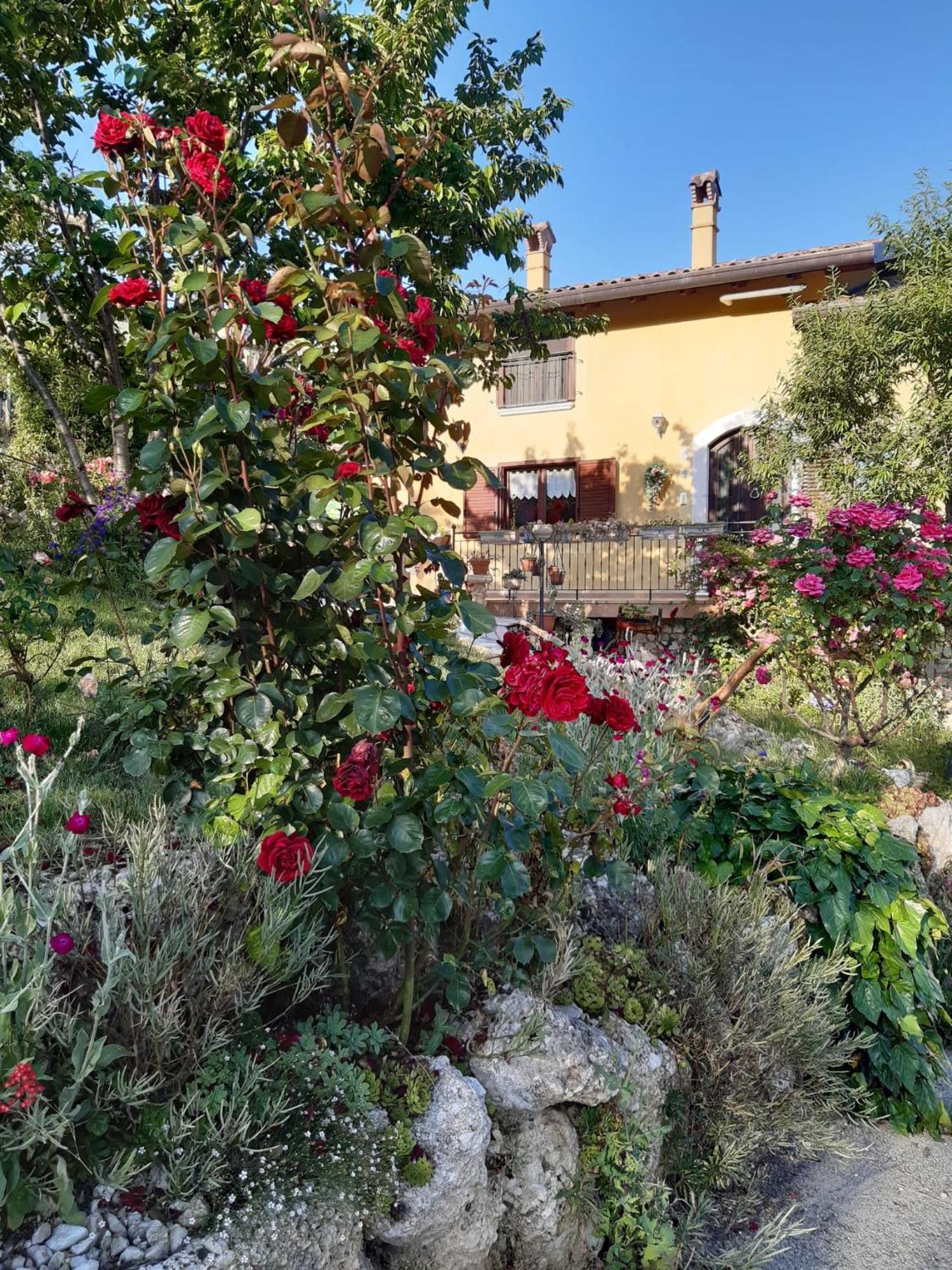 Il Girasole Bed & Breakfast Castelvecchio Calvisio Dış mekan fotoğraf