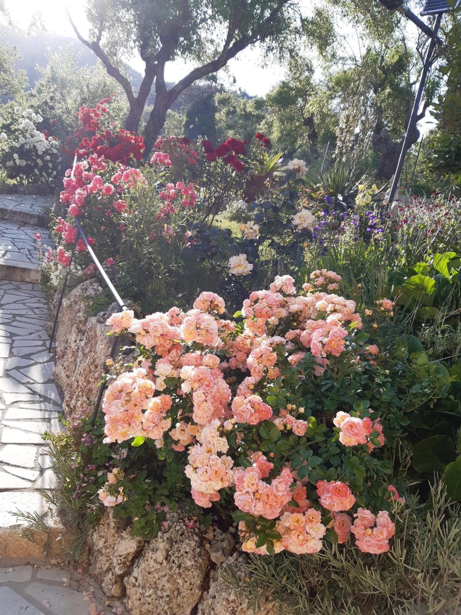 Il Girasole Bed & Breakfast Castelvecchio Calvisio Dış mekan fotoğraf