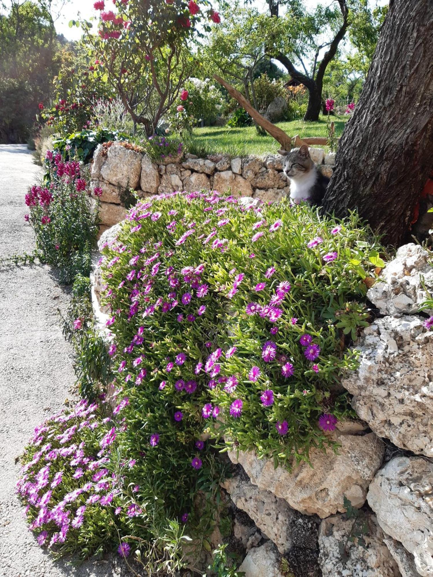 Il Girasole Bed & Breakfast Castelvecchio Calvisio Dış mekan fotoğraf